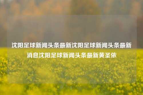 沈阳足球新闻头条最新沈阳足球新闻头条最新消息沈阳足球新闻头条最新黄圣依-第1张图片-足球世界