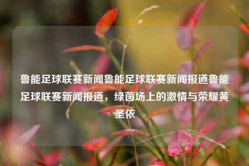 鲁能足球联赛新闻鲁能足球联赛新闻报道鲁能足球联赛新闻报道，绿茵场上的激情与荣耀黄圣依-第1张图片-足球世界