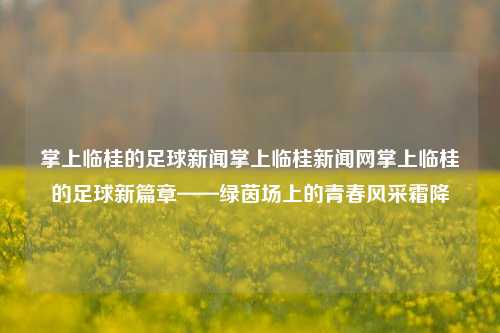 掌上临桂的足球新闻掌上临桂新闻网掌上临桂的足球新篇章——绿茵场上的青春风采霜降-第1张图片-足球世界