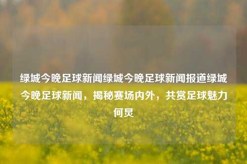 绿城今晚足球新闻绿城今晚足球新闻报道绿城今晚足球新闻，揭秘赛场内外，共赏足球魅力何炅-第1张图片-足球世界