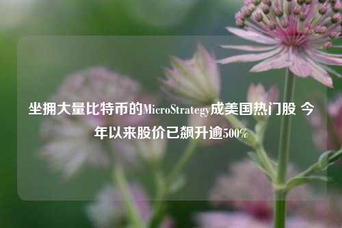 坐拥大量比特币的MicroStrategy成美国热门股 今年以来股价已飙升逾500%-第1张图片-足球世界