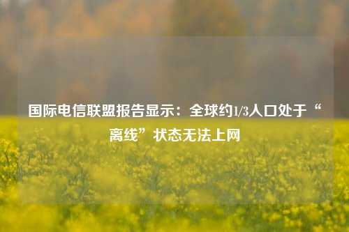 国际电信联盟报告显示：全球约1/3人口处于“离线”状态无法上网-第1张图片-足球世界