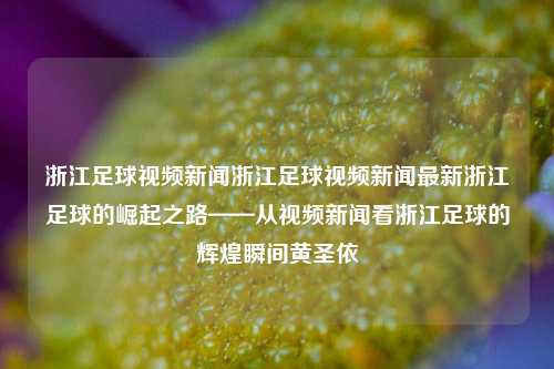 浙江足球视频新闻浙江足球视频新闻最新浙江足球的崛起之路——从视频新闻看浙江足球的辉煌瞬间黄圣依-第1张图片-足球世界