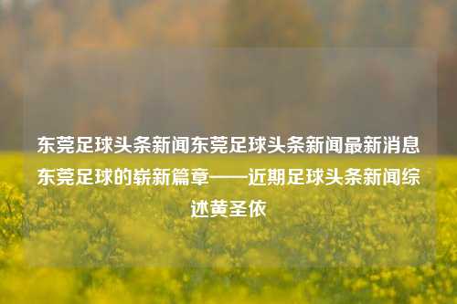 东莞足球头条新闻东莞足球头条新闻最新消息东莞足球的崭新篇章——近期足球头条新闻综述黄圣依-第1张图片-足球世界