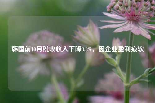 韩国前10月税收收入下降3.8%，因企业盈利疲软-第1张图片-足球世界