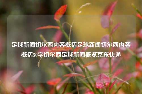 足球新闻切尔西内容概括足球新闻切尔西内容概括50字切尔西足球新闻概览京东快递-第1张图片-足球世界