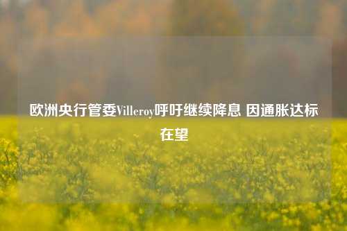 欧洲央行管委Villeroy呼吁继续降息 因通胀达标在望-第1张图片-足球世界