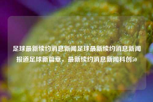 足球最新续约消息新闻足球最新续约消息新闻报道足球新篇章，最新续约消息新闻科创50-第1张图片-足球世界