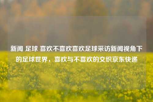 新闻 足球 喜欢不喜欢喜欢足球采访新闻视角下的足球世界，喜欢与不喜欢的交织京东快递-第1张图片-足球世界