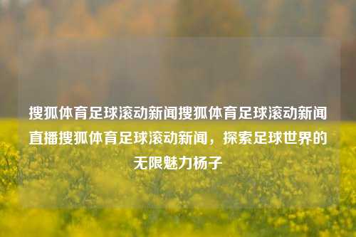 搜狐体育足球滚动新闻搜狐体育足球滚动新闻直播搜狐体育足球滚动新闻，探索足球世界的无限魅力杨子-第1张图片-足球世界