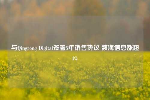 与Qingrong Digital签署5年销售协议 数海信息涨超4%-第1张图片-足球世界