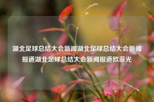 湖北足球总结大会新闻湖北足球总结大会新闻报道湖北足球总结大会新闻报道欧菲光-第1张图片-足球世界