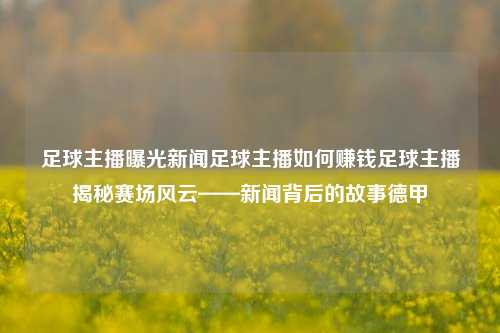 足球主播曝光新闻足球主播如何赚钱足球主播揭秘赛场风云——新闻背后的故事德甲-第1张图片-足球世界